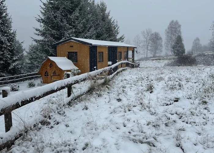 Wichrowe Wzgorze 5 בקתה *